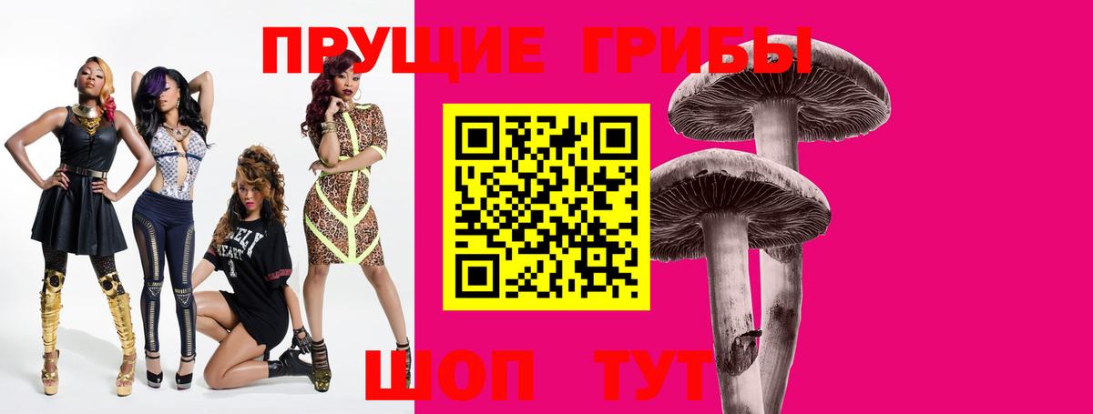 Кувандык  Псилоцибиновые грибы мухоморы  Вход с VPN 